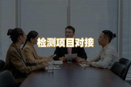 检测项目对接